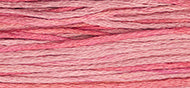 Weeks Dye Works- Camellia 2276